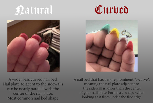 nail bed shape examples
