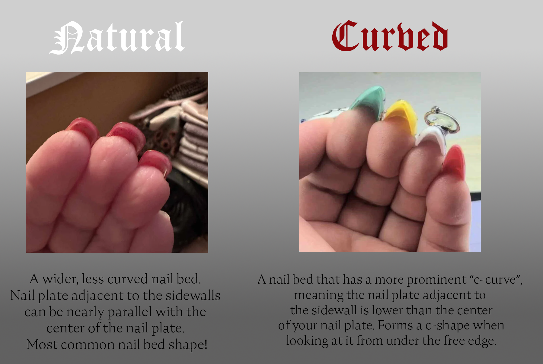 [Always Available] The Vixen - Festive image 3