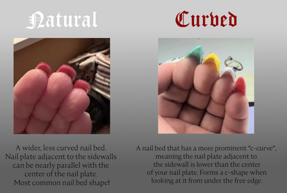 [Always Available] The Vixen - Festive image 3